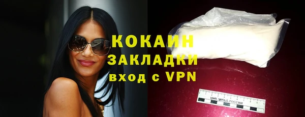 твердый Покачи