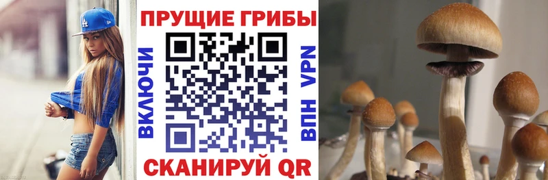 mega как зайти  купить закладку  Абдулино  Галлюциногенные грибы Psilocybe 